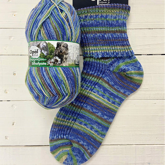 Opal Fascination-Schafpate Visit To The Sponsorship 4ply