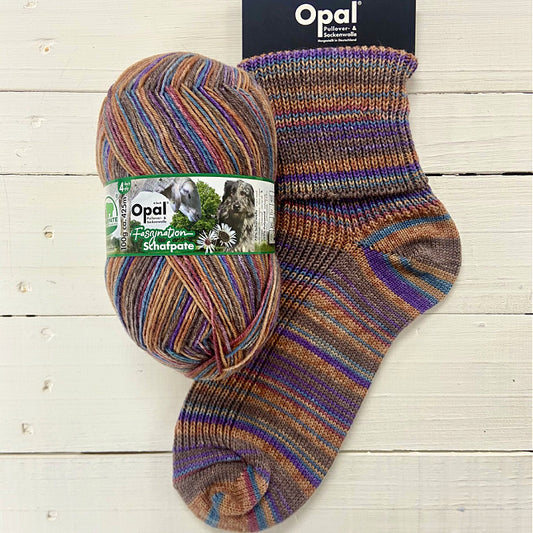 Opal Fascination-Schafpate Sheep Sponsor Meeting 4ply