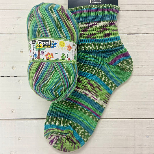 Opal 4ply 25 Years of Opal -Painted congratulations