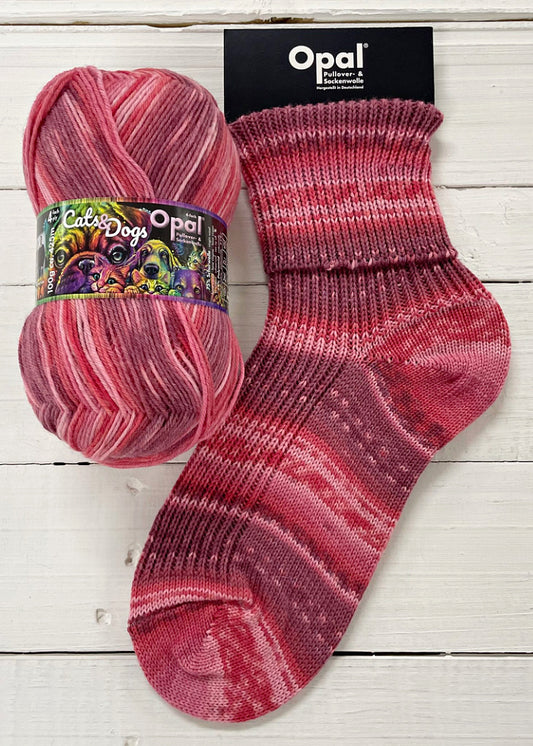 Opal 4ply Cats & Dogs - Much-loved paw giver