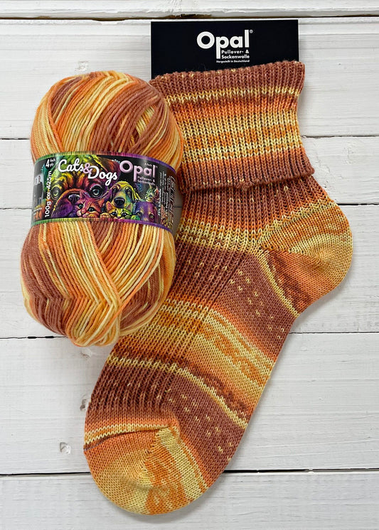 Opal 4ply Cats & Dogs - Diva-like Cuddly Cat