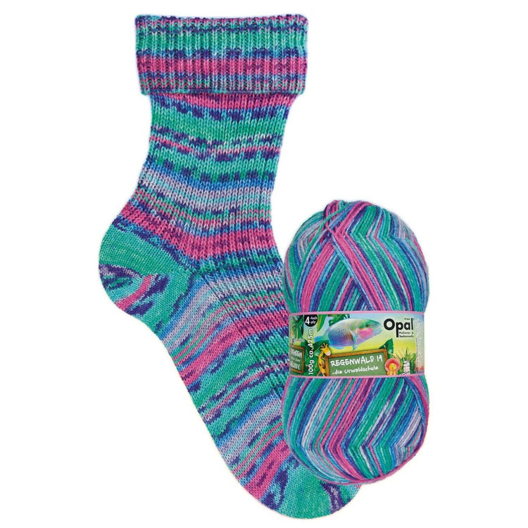 Regenworld 19 4ply Francis