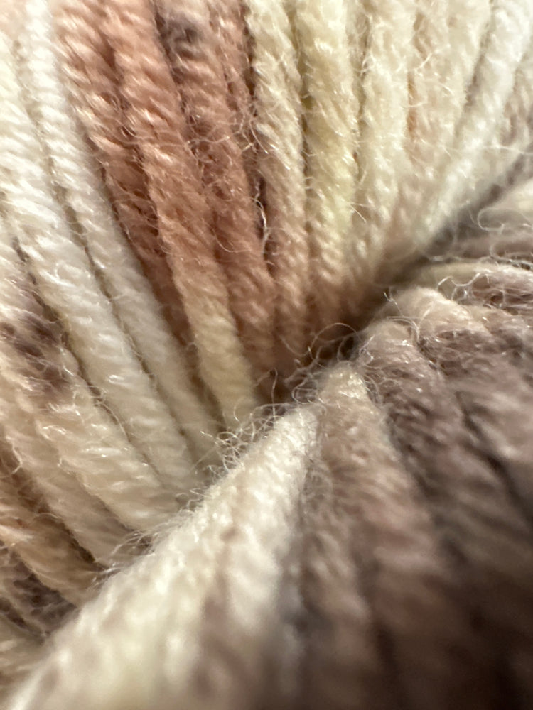 Araucania Huasco Aran Yarn – Hand-Dyed Style Colour Effect Aran Yarn