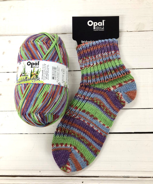 opal sock yarn 6ply - 11320 Football Bear