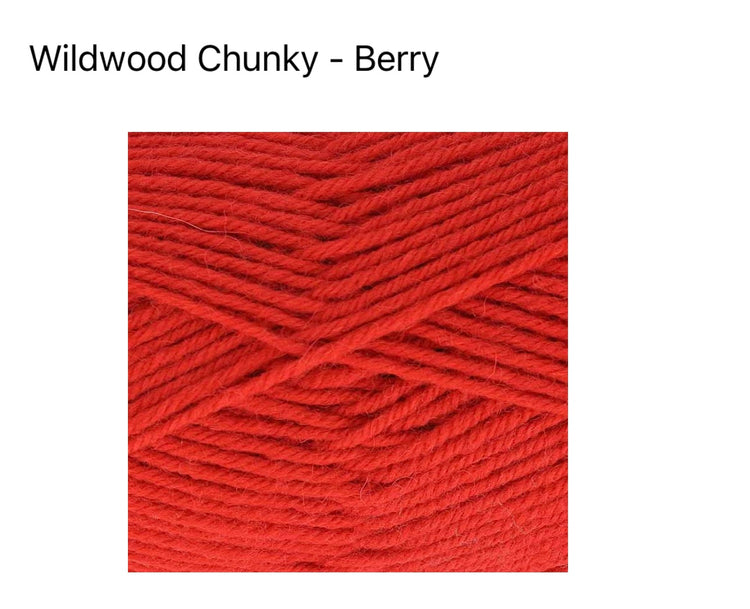 King Cole Wildwood Chunky Yarn – 100% Recycled Wool Chunky (100g)
