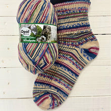  Opal  Fascination-Schafpate Shepherds say Thank You 4ply