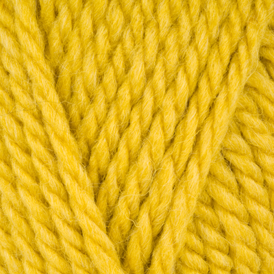 Stylecraft Life Super chunky - Zesty