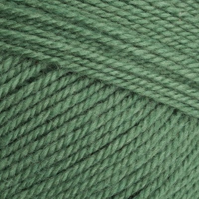 Stylecraft 400g Special Aran with wool - Succulent