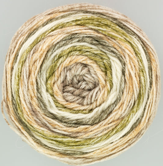 King Cole Harvest dk Woodland