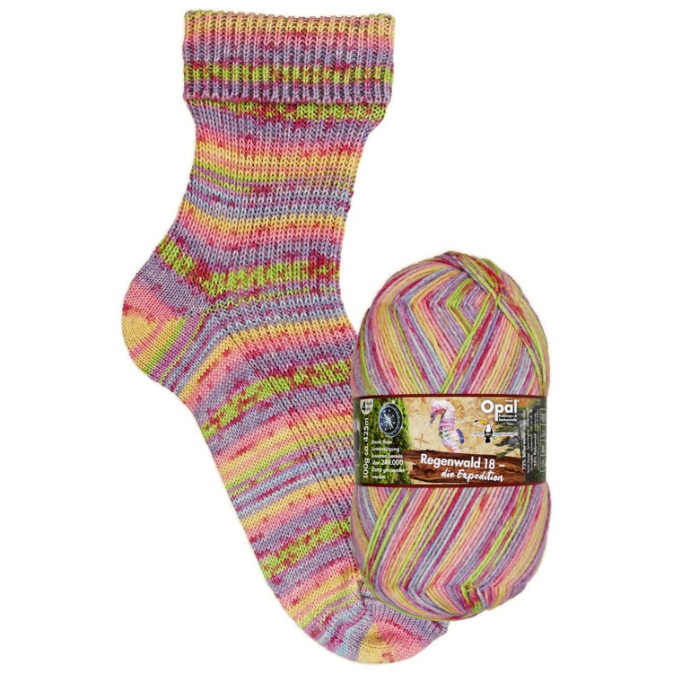 Regenworld 18 4ply Tracker Sophia