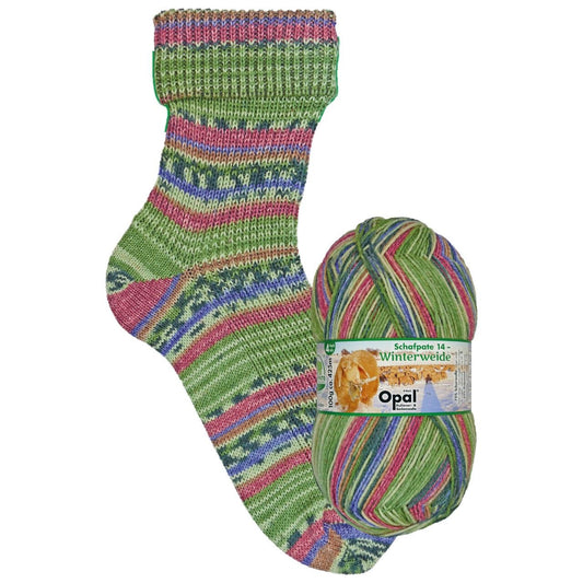 Opal  WinterWeide 4ply Tasty Food