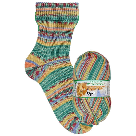 Opal  WinterWeide 4ply Rough assembly Point