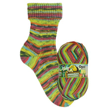  Opal Regenworld 19 4ply Break Supervisor