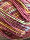 Opal sock yarn - showbiz 11391