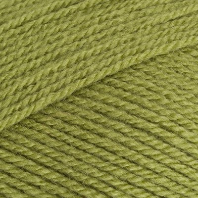 Stylecraft Special DK meadow 1065