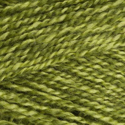 Stylecraft special DK Greengage 1124