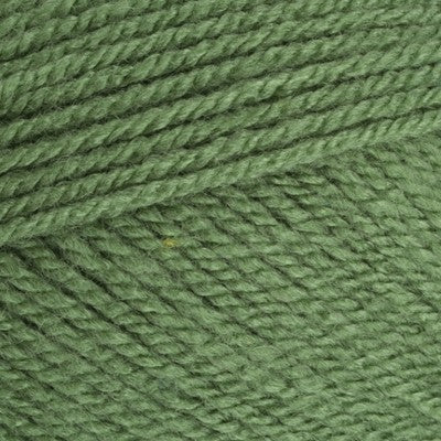 Stylecraft Special DK Cypress 1824