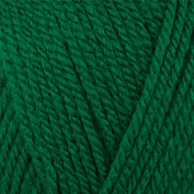 Stylecraft Special Chunky - green