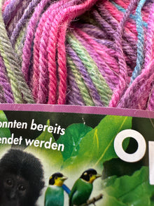  Opal Regenworld 16 4ply