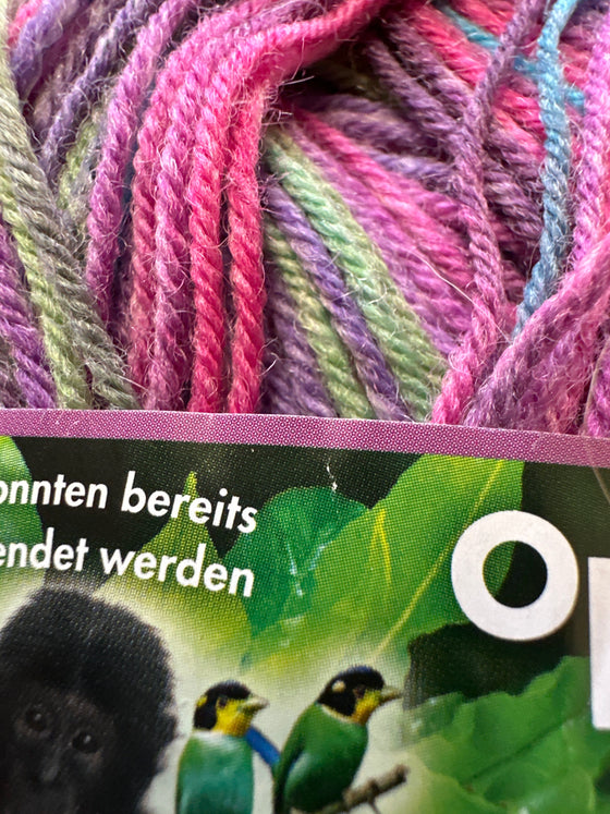 Opal Regenworld 16 4ply