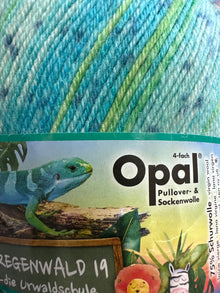  Opal Regenworld 19 4ply Frau Schmid