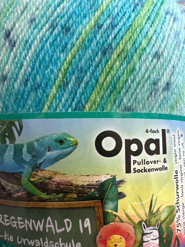 Opal Regenworld 19 4ply Frau Schmid