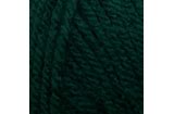 Stylecraft Special DK  Bottle Green 1009