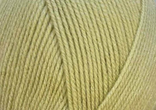 Stylecraft Special DK Mushy Peas 2173