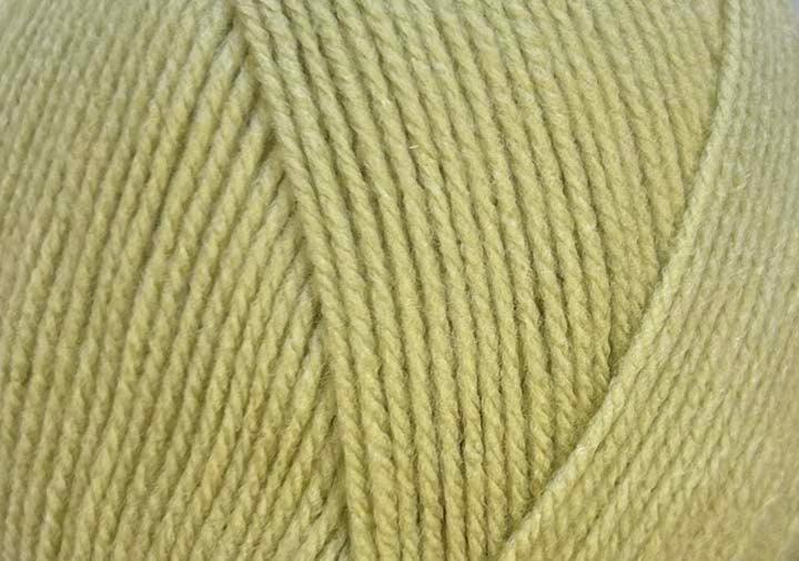 Stylecraft Special DK Mushy Peas 2173